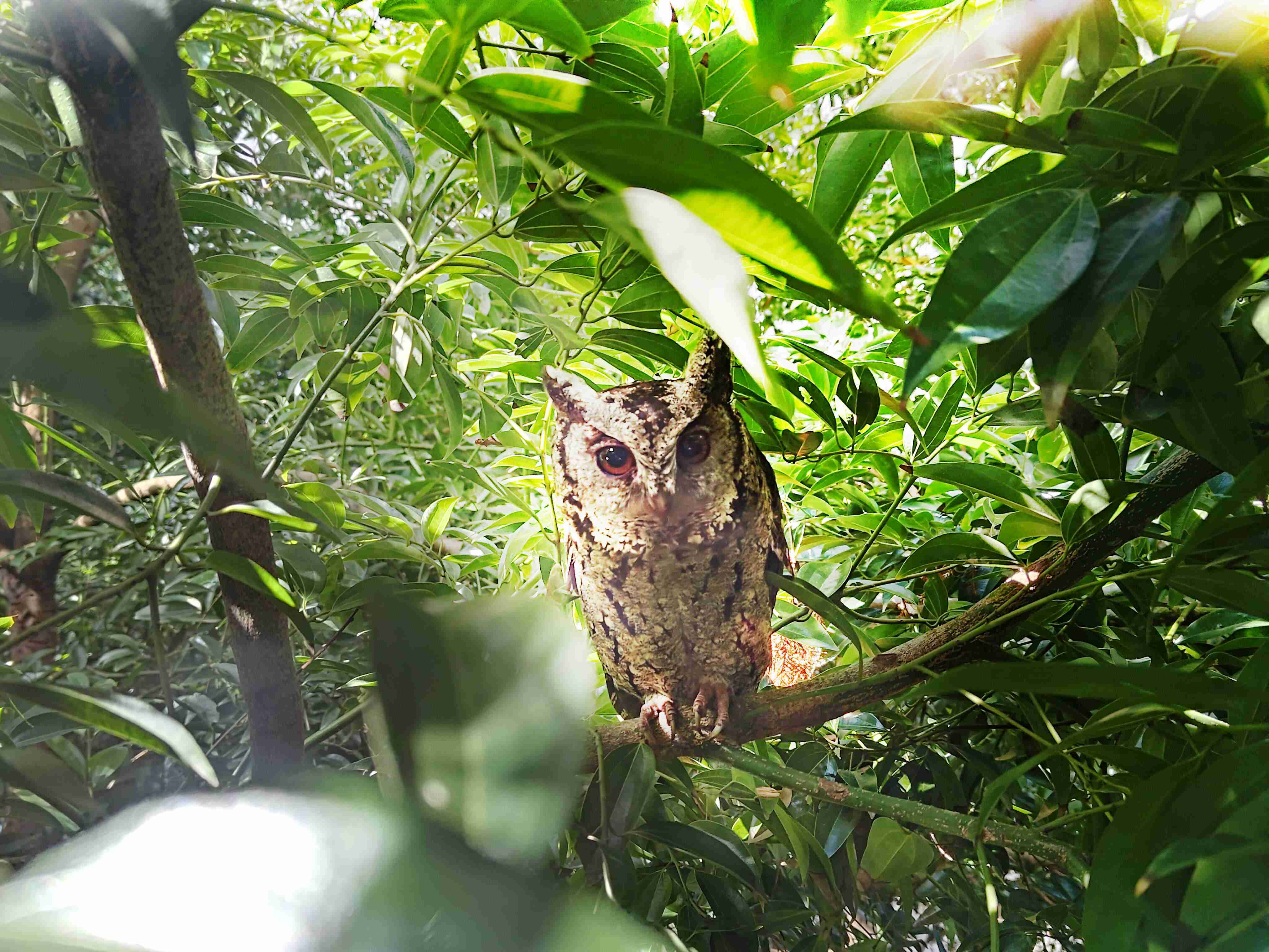 尊时凯龙致力提倡净零绿生活，，16年以来在全球各厂区植树逾百万棵，，造就各厂区树木蔚然成林，，，，犹如森林工厂，，，，成为许多生物的栖息地